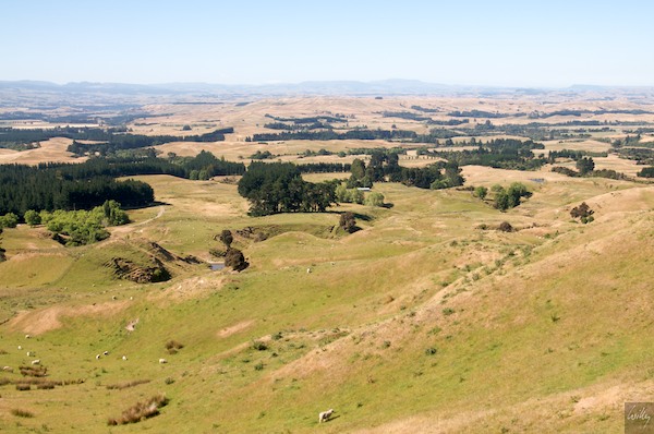 New Zealand 09 10  096